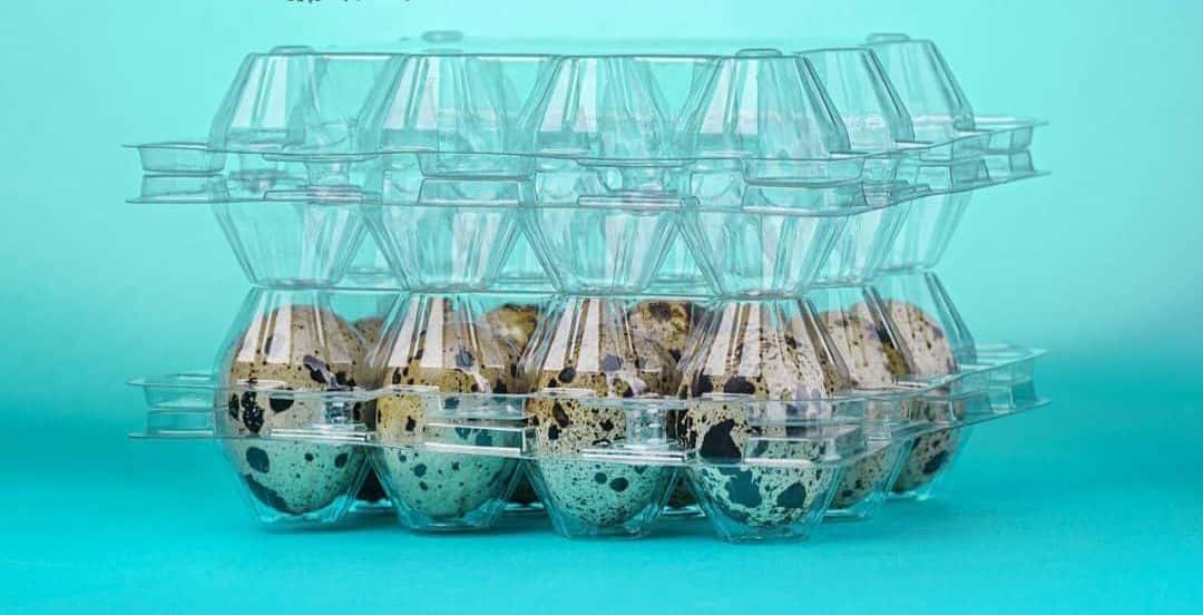 تصویر 3 از شانه تخم بلدرچین ضخیم تولید صنعتی جهت حفظ شکل و جلوگیری از شکستگی